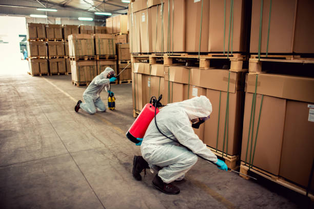 Wasp Removal Services in Frackville, PA