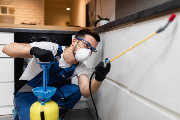 Best Emergency Pest Control  in Frackville, PA