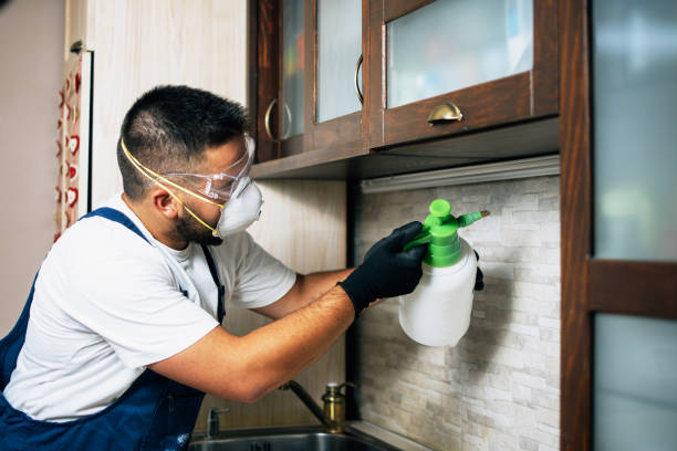 Best Residential Pest Control  in Frackville, PA