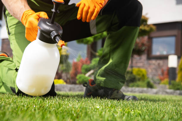 Best Pest Control for Restaurants  in Frackville, PA