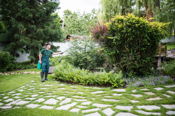 Best Local Pest Control Services  in Frackville, PA