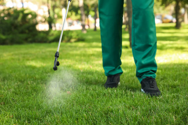 Best Best Pest Control Companies  in Frackville, PA