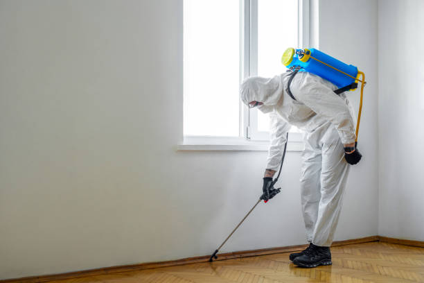 Best Bed Bug Extermination  in Frackville, PA