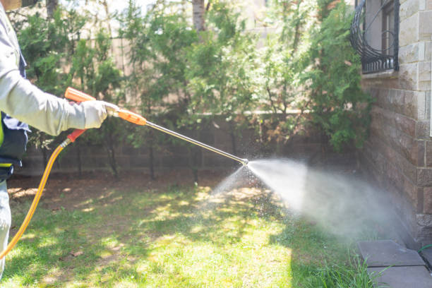 Best Residential Pest Control  in Frackville, PA