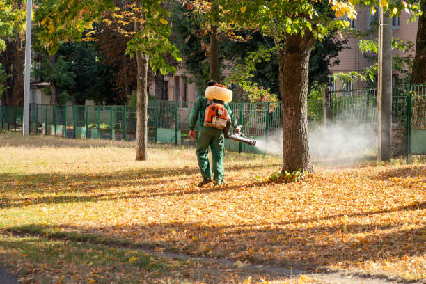 Best Exterminator Services  in Frackville, PA