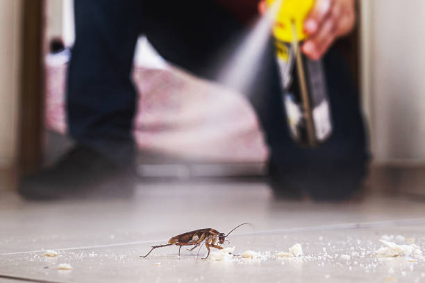 Best Best Pest Control Companies  in Frackville, PA