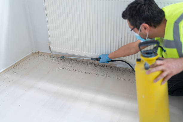 Best Mosquito Control Services  in Frackville, PA