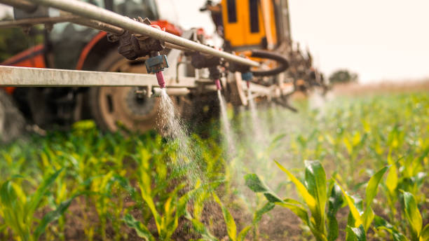 Reliable Frackville, PA Pest Control Solutions